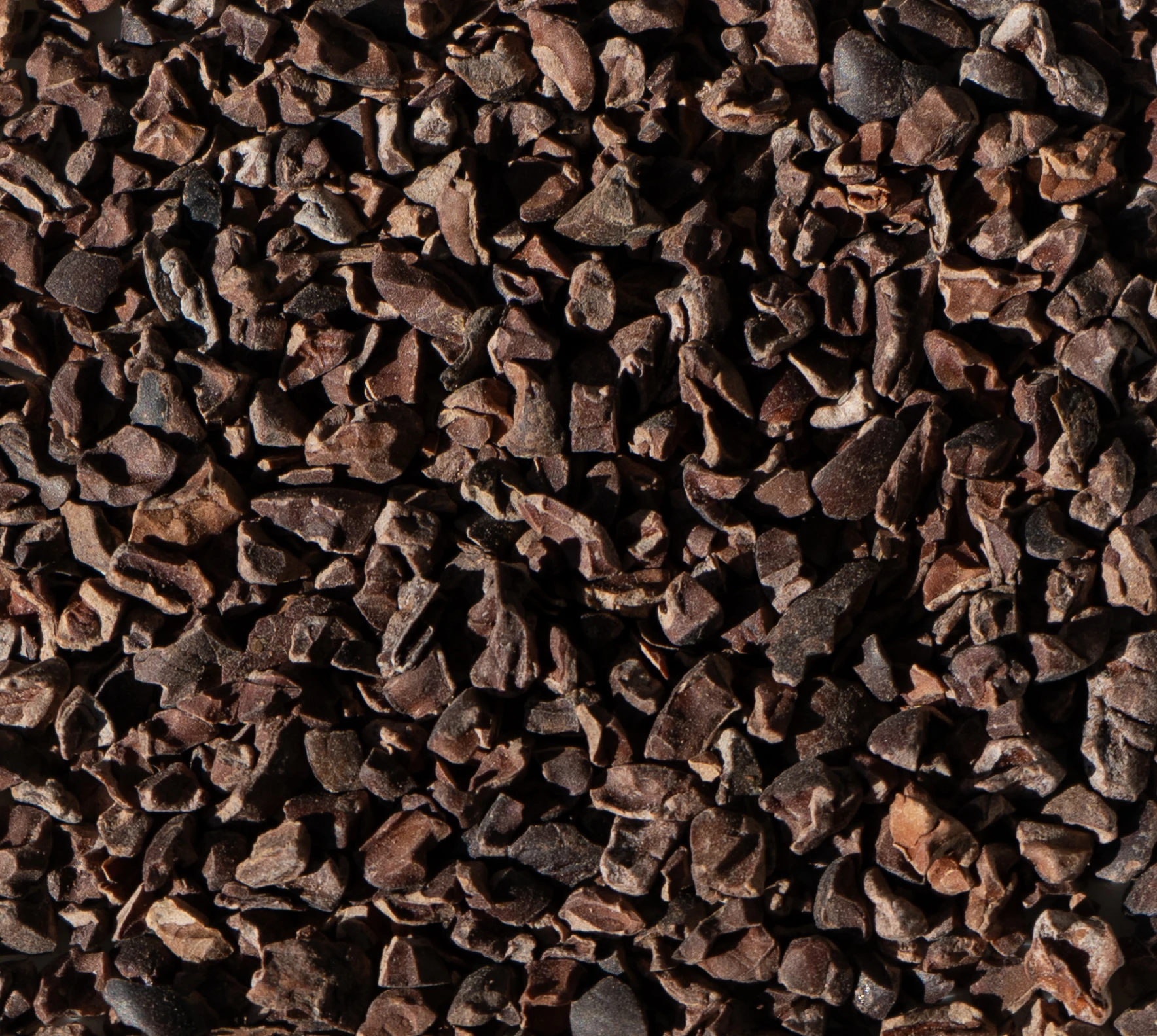 Cacao Nibs