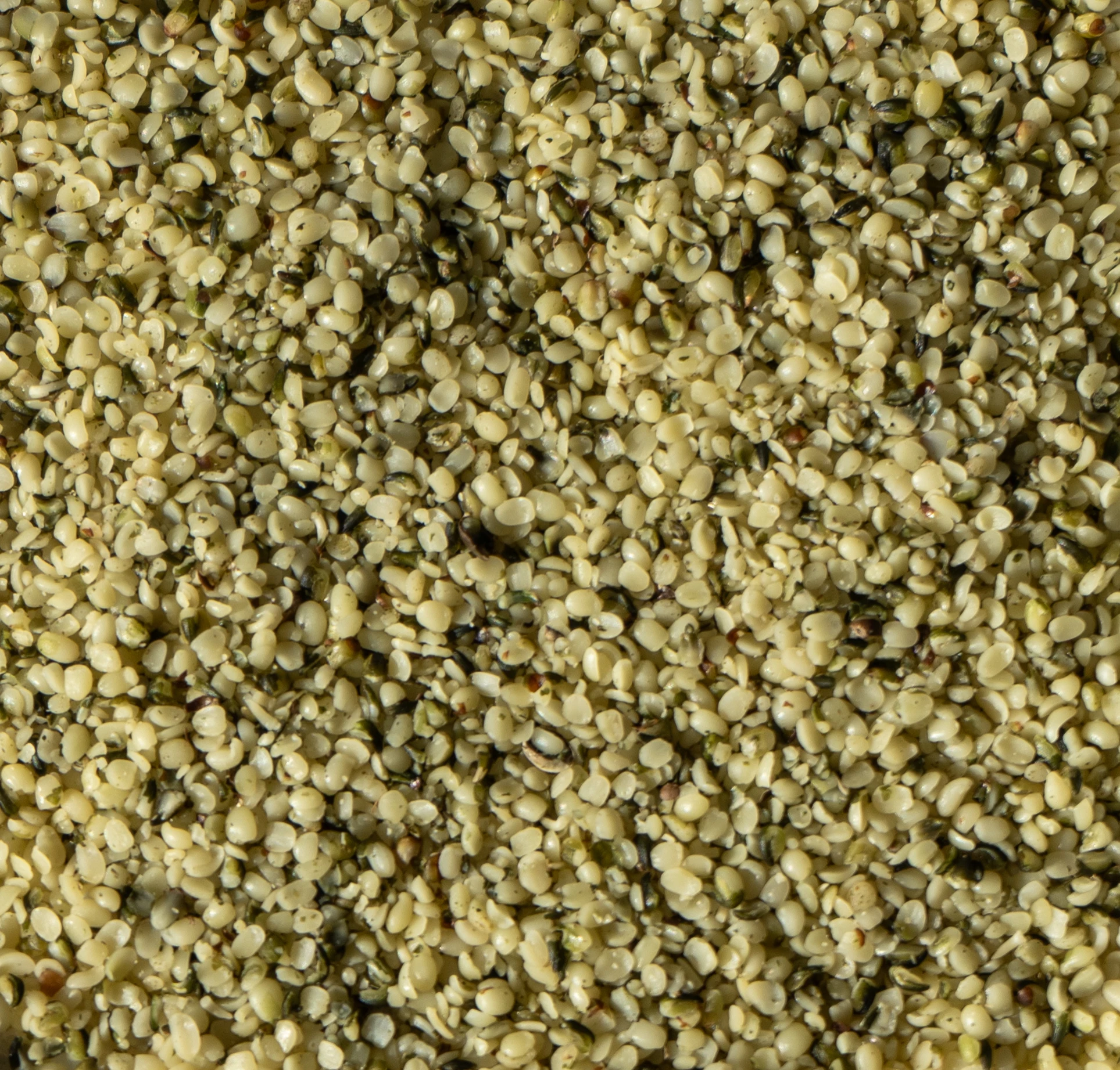 Hempseed