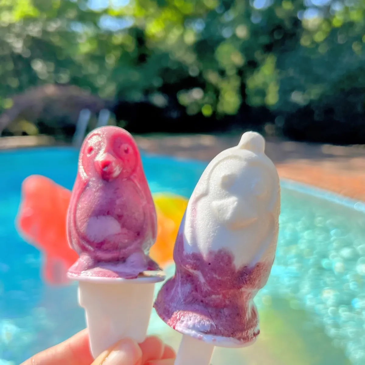 Nutty Pudding popsicles by the pool