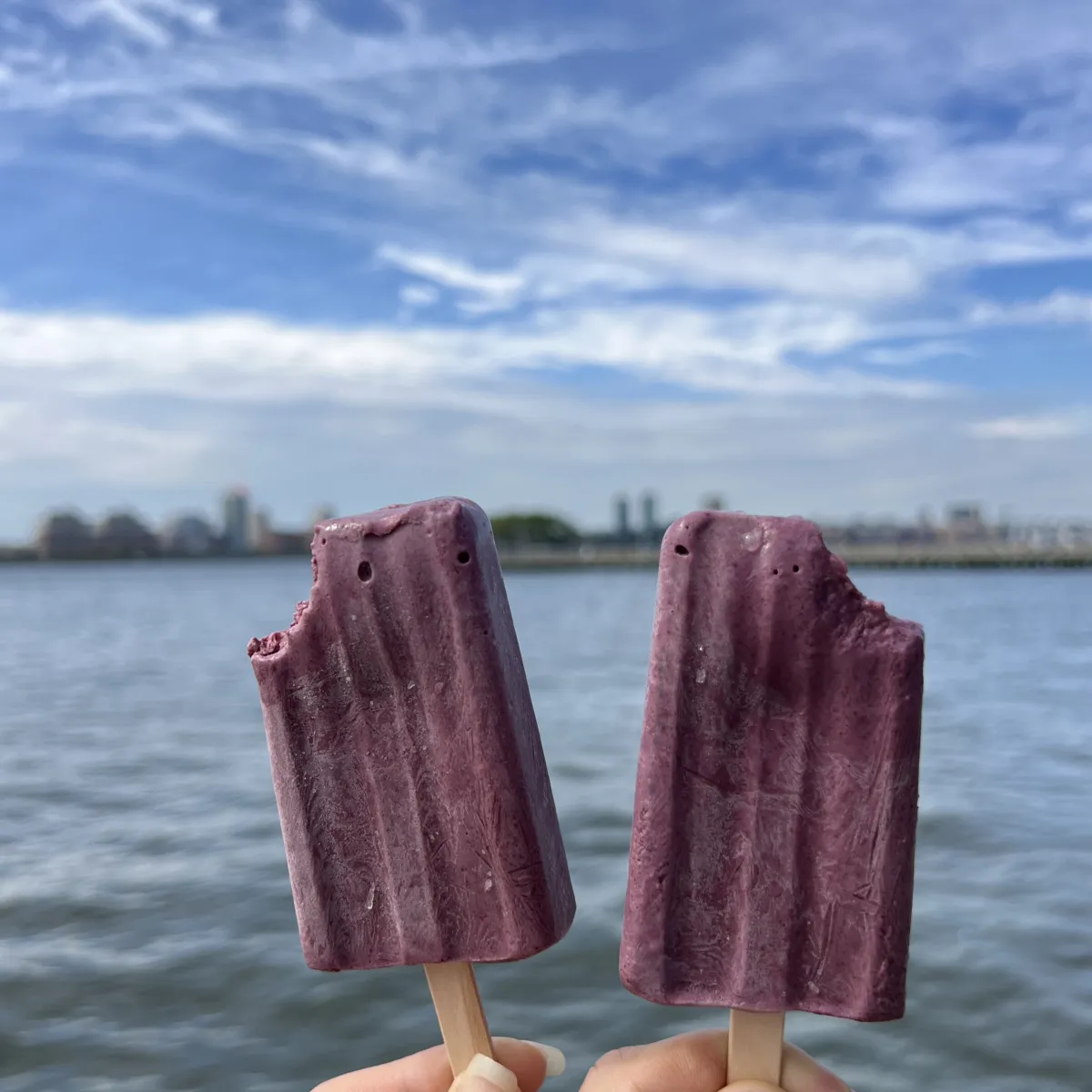Nutty Pudding popsicles by the water